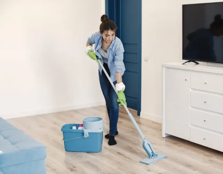 Femme de ménage Plappeville